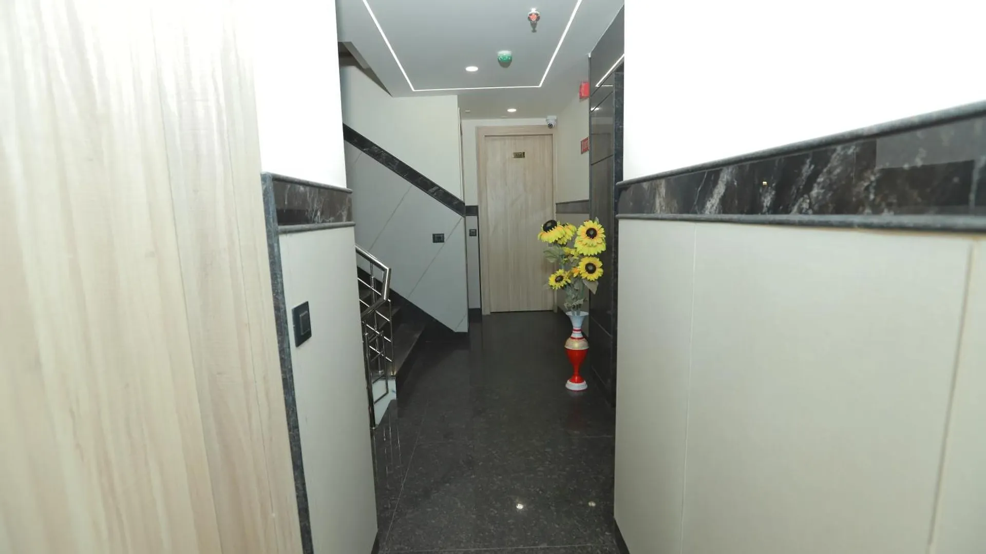 Hotel Green Palace-Near Delhi Airport ニューデリー